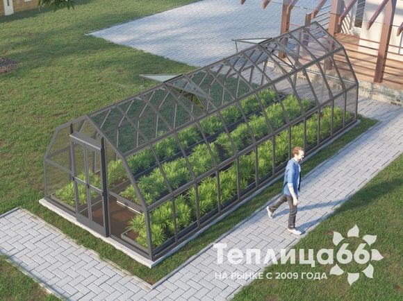 Теплица Рада Исеть под стекло 3х8 метров, графитовая