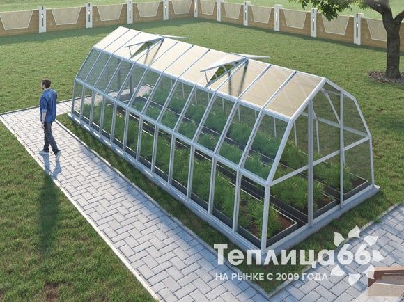 Теплица Рада Исеть под стекло 3х8 метров, белая